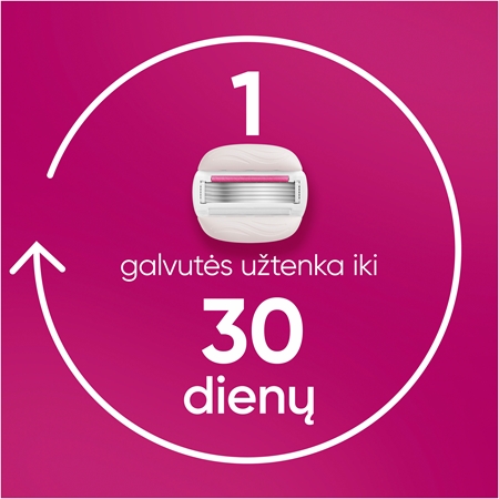 Gillette Venus PRO ComfortGlide Sugarberry moteriškas skustuvas su dušo laikikliu