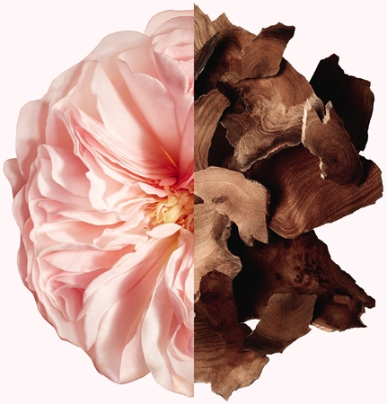 GIVENCHY Irresistible spray parfumat pentru par pentru femei