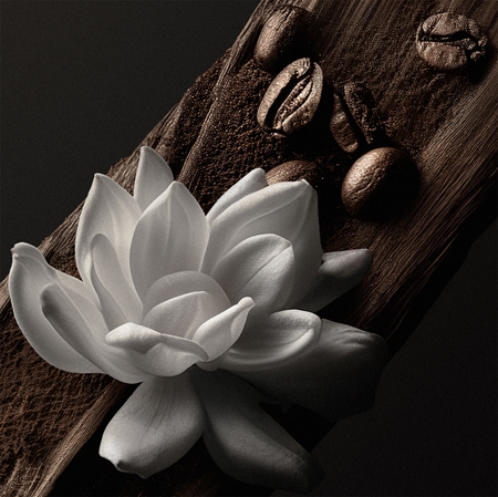 GIVENCHY Gentleman Society Extrême парфюмна вода за мъже