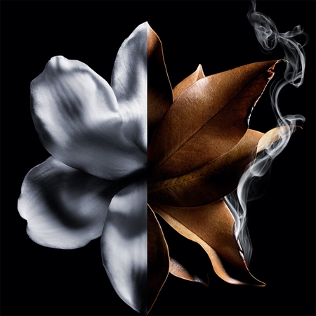 GIVENCHY L’Interdit Absolu parfémovaná voda intense pro ženy