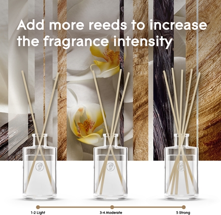 GLADE Romantic Vanilla Blossom Diffuser