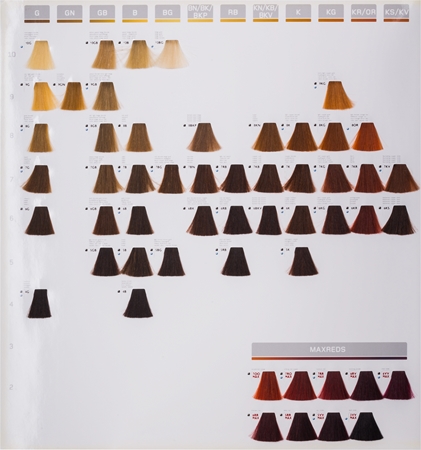 Goldwell Topchic Permanent Hair Color coloration cheveux