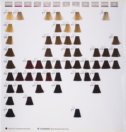 Goldwell Topchic Permanent Hair Color coloration cheveux