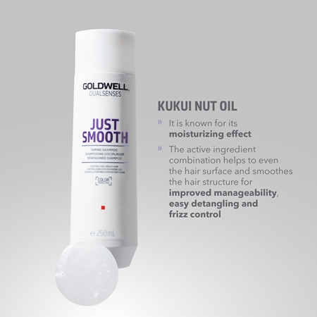 Goldwell Dualsenses Just Smooth λειαντικό σαμπουάν για ατίθασα μαλλιά