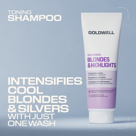 Goldwell Dualsenses Blondes & Highlights Toning Shampoo purple toning shampoo