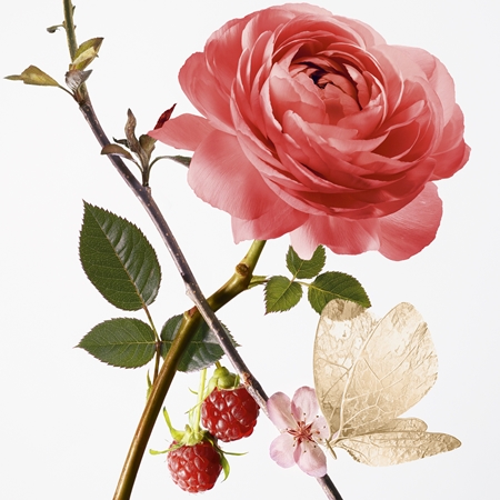GOUTAL Rose Pompon Eau de Toilette pour femme
