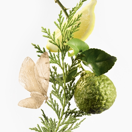 GOUTAL Eau d'Hadrien parfumska voda polnilna uniseks