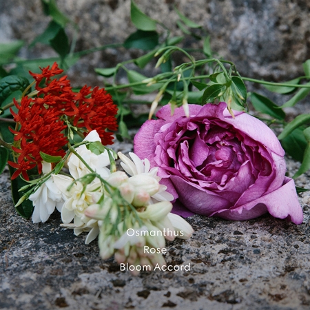 Gucci Bloom Nettare di Fiori Eau de Parfum para mujer