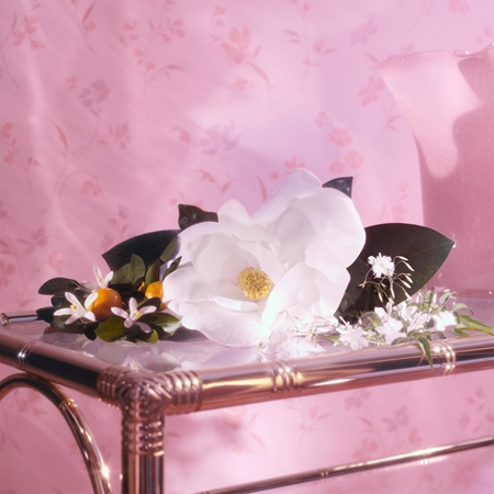 Gucci Flora Gorgeous Jasmine Geschenkset für Damen