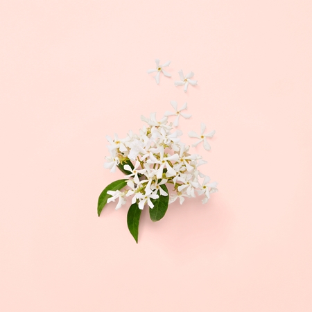 Gucci Bloom Eau de Parfum til kvinder