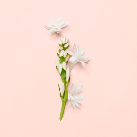 Gucci Bloom Eau de Parfum til kvinder