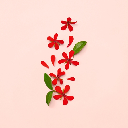 Gucci Bloom Eau de Parfum til kvinder