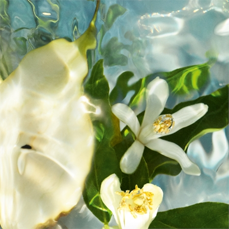 GUERLAIN Aqua Allegoria Pera Granita confezione regalo da donna