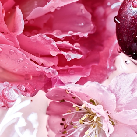 GUERLAIN La Petite Robe Noire Rose Cherry Eau de Parfum för Kvinnor