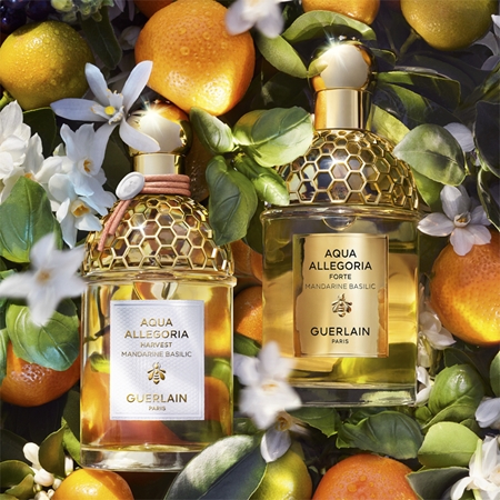 GUERLAIN Aqua Allegoria Mandarine Basilic Harvest eau de toilette for women limited edition