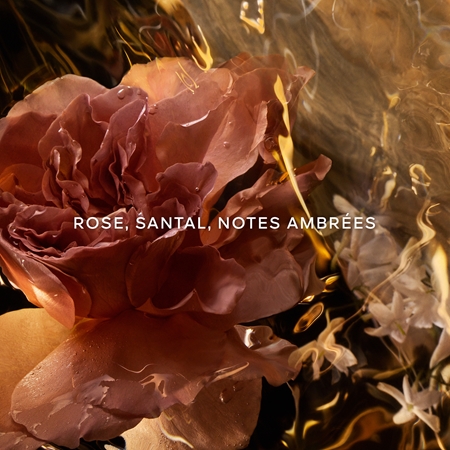GUERLAIN Absolus Allegoria Santal Royal parfum pour cheveux mixte