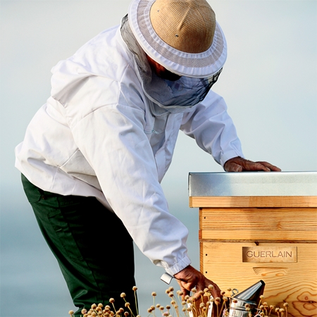 GUERLAIN Abeille Royale Hudplejesæt (gaveversion) til kvinder