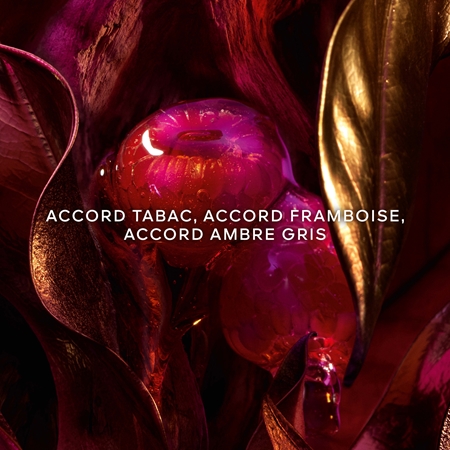GUERLAIN Absolus Allegoria Tabac Sahara Eau de Parfum mixte