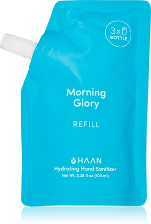 HAAN Hand Care Morning Glory spray nettoyant pour les mains au composant antibactérien