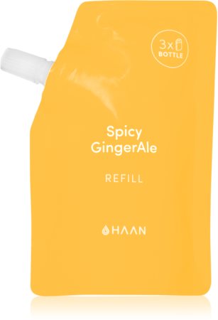 HAAN Hand Care Spicy GingerAle spray czyszczący do rąk ze środkiem antybakteryjnym