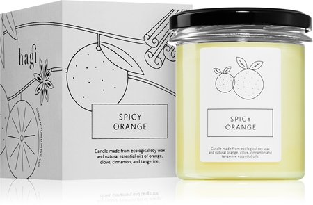 Hagi Spicy Orange αρωματικό κερί