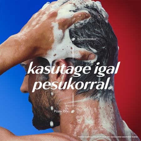 Head & Shoulders Old Spice Wolfthorn Kõõmavastane šampoon