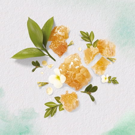 Herbal Essences Burbon & Manuka Honey Schampo Med arganolja