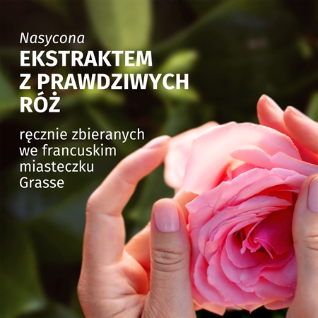 Herbal Essences Rose Scent Petal Soft szampon do włosów suchych i zniszczonych