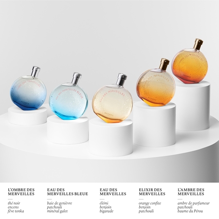 HERMÈS Eau des Merveilles Eau de Toilette recharge pour femme