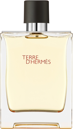 HERMÈS Terre d’Hermès tualetinis vanduo vyrams