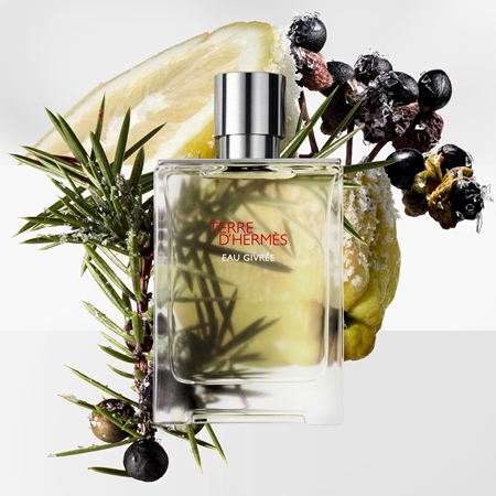 HERMÈS Terre d’Hermès Eau Givrée Eau de Parfum rechargeable pour homme