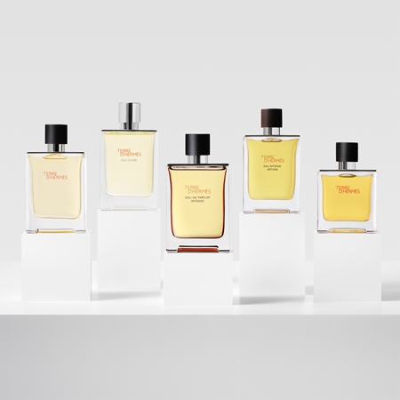 HERMÈS Terre d’Hermès Eau de Parfum Intense Eau de Parfum intense miehille