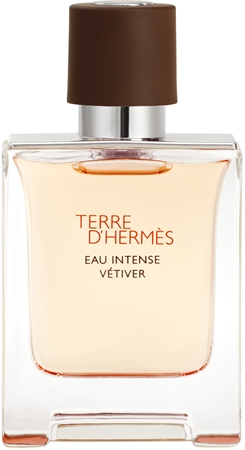 HERMÈS Terre d’Hermès Eau Intense Vétiver Parfumuotas vanduo vyrams