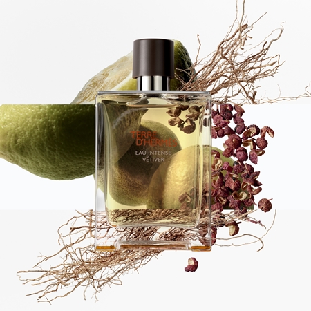 HERMÈS Terre d’Hermès Eau Intense Vétiver Parfumuotas vanduo vyrams