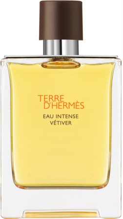 HERMÈS Terre d’Hermès Eau Intense Vétiver Eau de Parfum για άντρες
