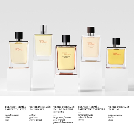 HERMÈS Terre d’Hermès Eau Intense Vétiver Eau de Parfum pour homme