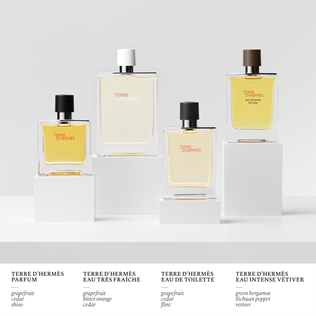 HERMÈS Terre d’Hermès Eau Intense Vétiver Dāvanu komplekts vīriešiem