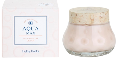 Holika Holika Aqua Max Nourishing and Moisturizing Cream for Normal and Dry Skin