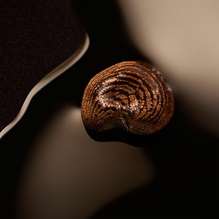 Hugo Boss BOSS The Scent Magnetic for her Smaržūdens (EDP) sievietēm