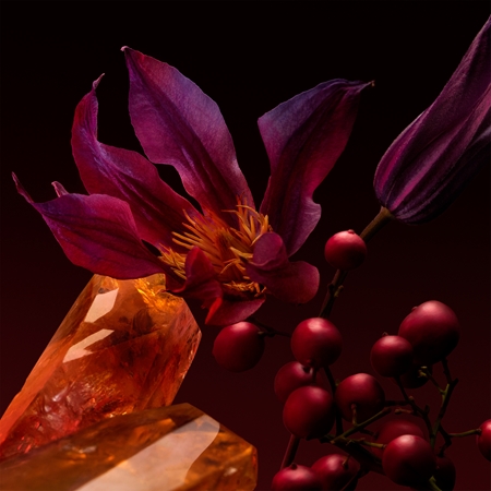 Hugo Boss BOSS The Scent Elixir for her Parfüm intense für Damen