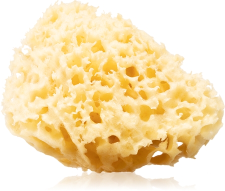 Huygens Clear Natural Mediterranean Sea Sponge natuurlijke zeespons voor Lichaam en Gezicht