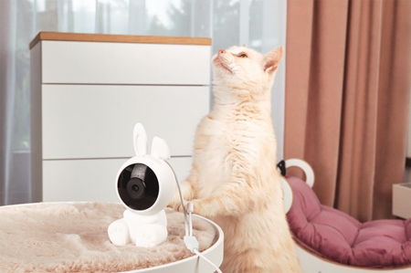 innoGIO GIOSafety Rabbit caméra Smart Wi-fi d’intérieur