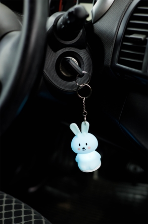innoGIO GIOkeyring Μπρελόκ