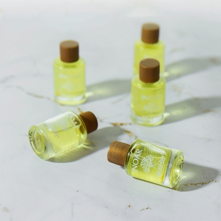 INOAR Argan Oil System hranilno olje za lase