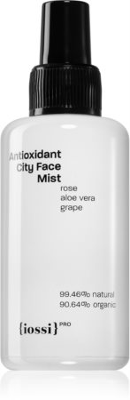Iossi PRO Antioxidant City schützender Sprühnebel für das Gesicht gegen die Auswirkungen von Umwelteinflüssen