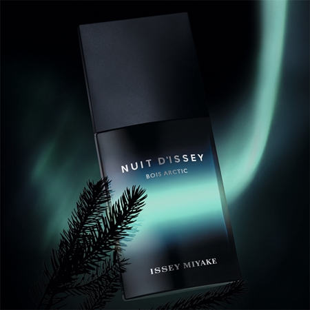 Issey Miyake Nuit d'Issey Bois Arctic parfémovaná voda pro muže