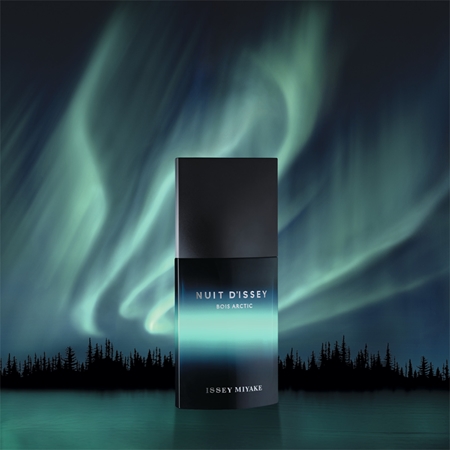 Issey Miyake Nuit d'Issey Bois Arctic parfémovaná voda pro muže