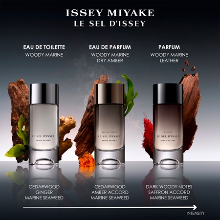 Issey Miyake Le Sel d'Issey Dāvanu komplekts vīriešiem