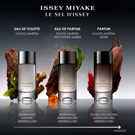 Issey Miyake Le Sel d'Issey Parfüm für Herren