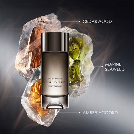Issey Miyake Le Sel d'Issey gift set for men